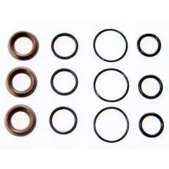 Interpump Kit 97 Water Seal Kit