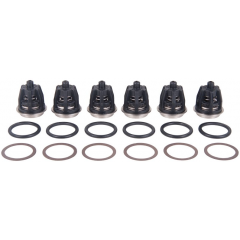 Interpump Kit 201 Suction/delivery valves set of 6