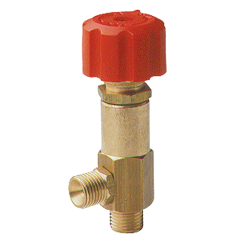 Steam Valve PA29092015