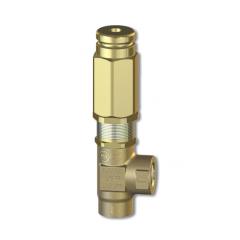 PA60050000 Safety Valve