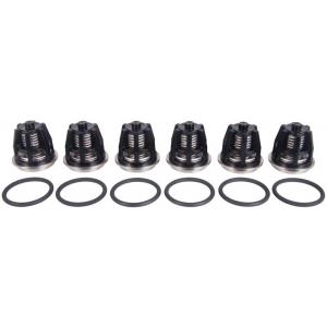 Interpump Kit 43 Contents 6 valve kits