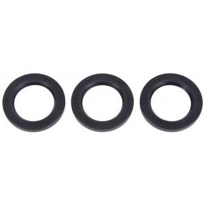 Interpump Kit 44 Contents, Oil Seal Kit