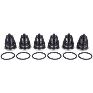 Interpump kit 62 Contents 6 intake/delivery valves