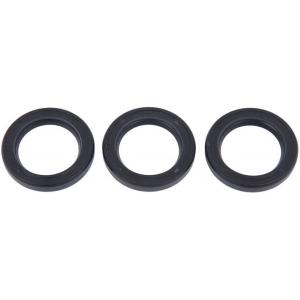 Interpump kit 2 contents of 3 oil seals on white background