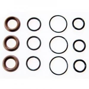 Interpump Kit 97 Water Seal Kit