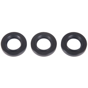 Interpump Kit 136 3x oil seals