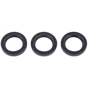 Interpump Kit 159 Oil seals 18x26x6