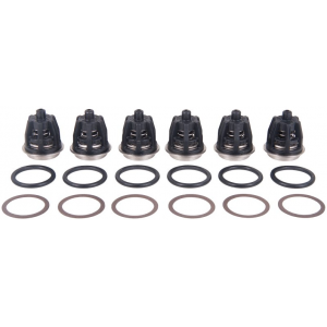 Interpump Kit 201 Suction/delivery valves set of 6