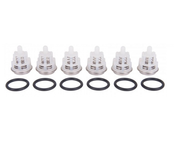 Interpump Kit 123 6 complete valves and 6 O-rings