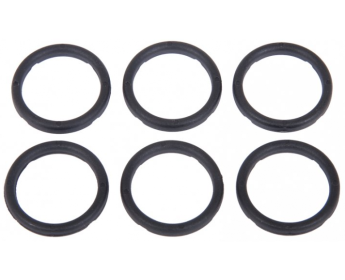 Interpump Kit 129 Set of 6 18mm head rings