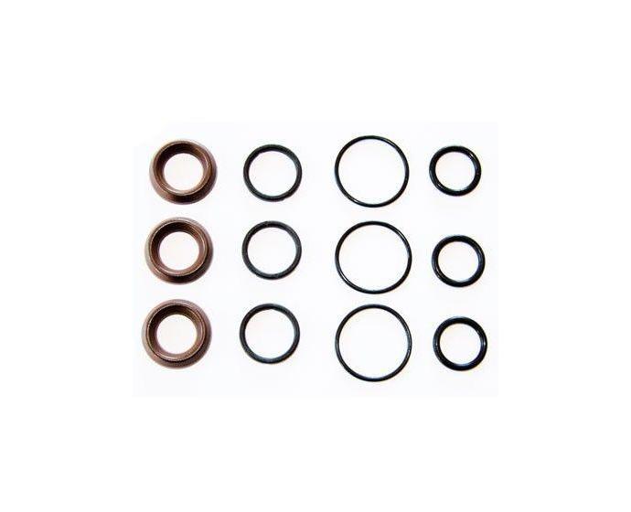 Interpump Kit 97 Water Seal Kit