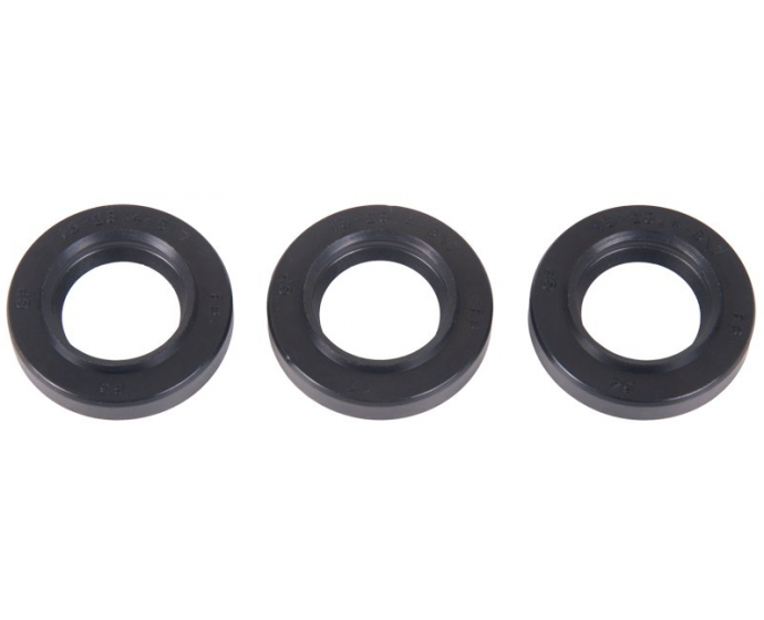 Interpump Kit 136 3x oil seals