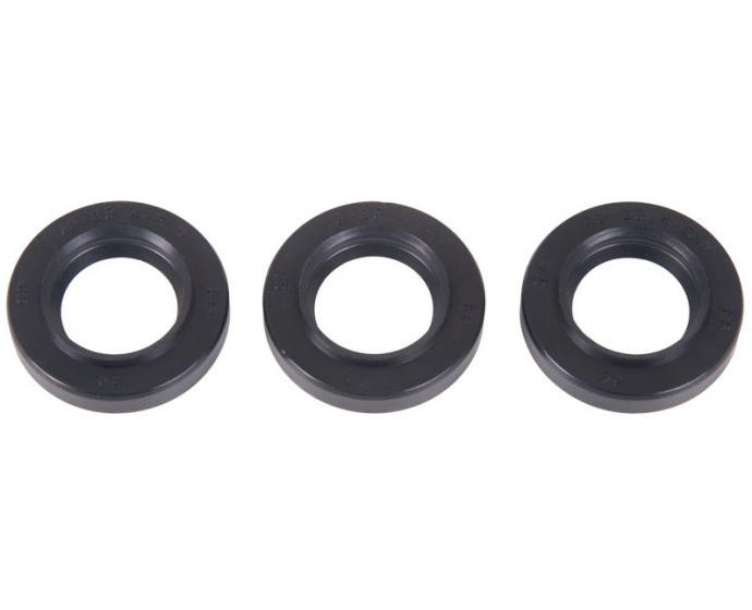 Interpump Kit 137 VH unloader valve service kit