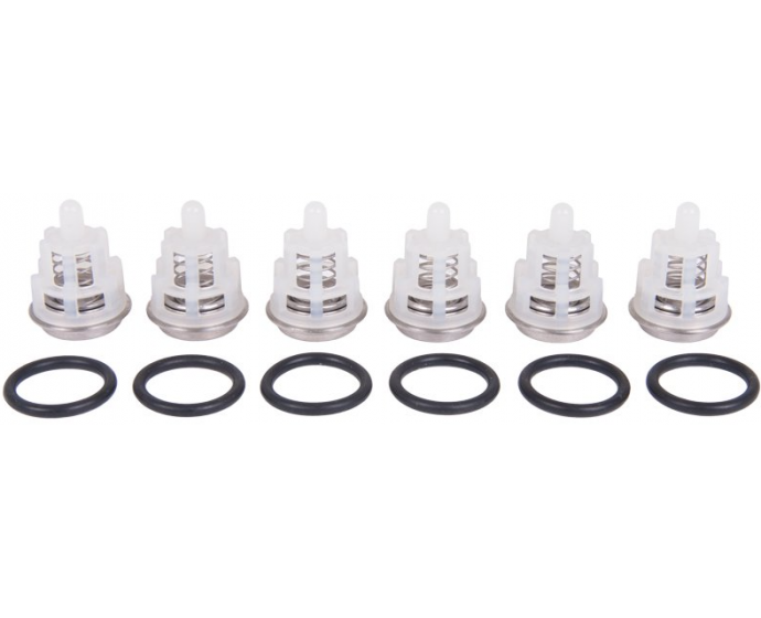 Interpump Kit 150 set of 6 suction/delivery valves