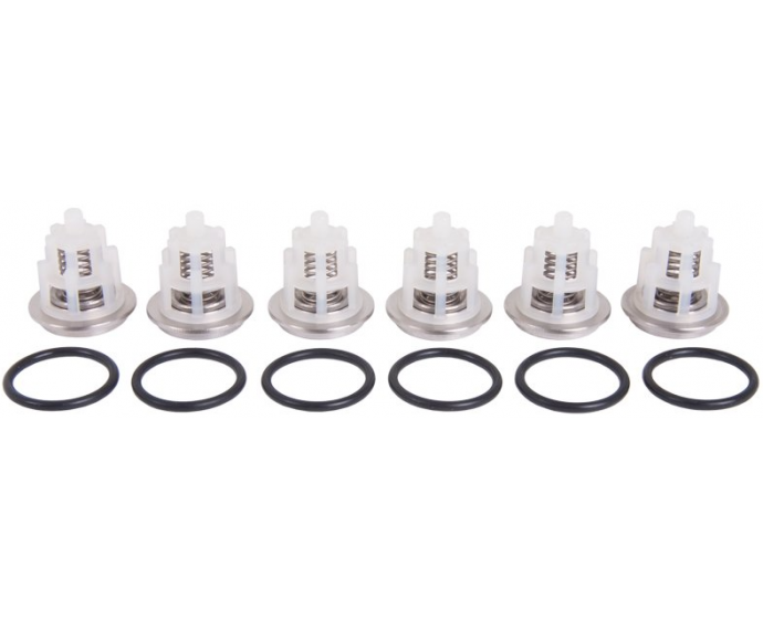 Interpump Kit 169 set of 6 suction/delivery valves