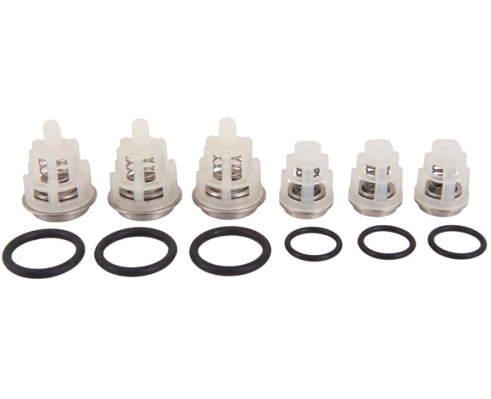 Interpump Kit 269 3 suction valves and 3 delivery valves