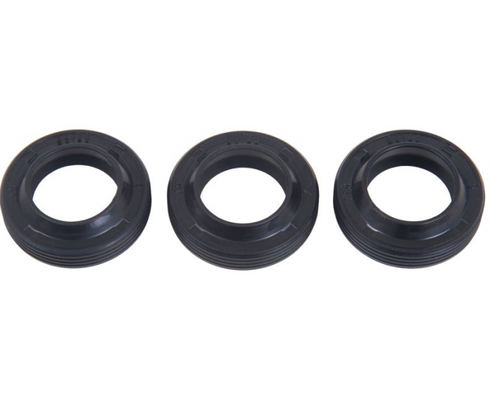 Interpump Kit 271 Oil seals 15x24x5/7 set of 3