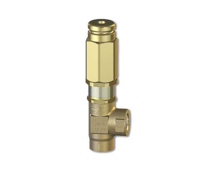 PA60050000 Safety Valve