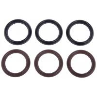 Interpump Kit 38 Contents water seal kit 36mm 6 pieces