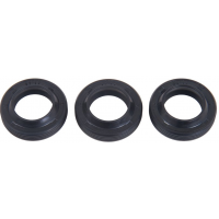 Interpump Kit 271 Oil seals 15x24x5/7 set of 3